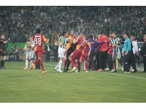 İlk Hafta Aslan Değil Kedi