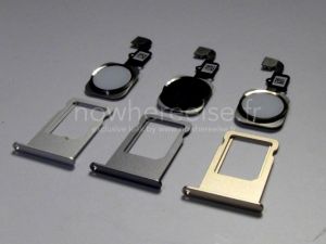 İphone 6’nın Renkleri Belli Oldu