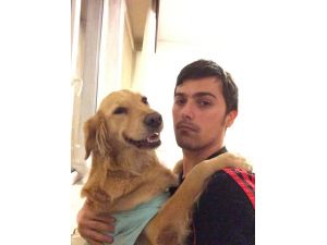 Tutuklanan Köpek Serbest Bırakıldı