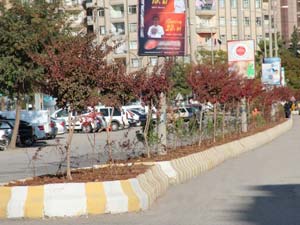 Ali Sezal Bulvarında Bitkilendirme Çalışması Yapıldı