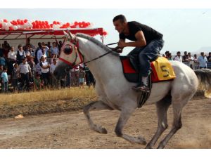 Ağrı’da “2014 Yılı At Yarışları” Yapıldı