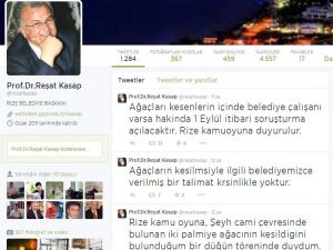 Gece Yarısı Kesilen Ağaçlarla İlgili İnceleme Başlatılacak