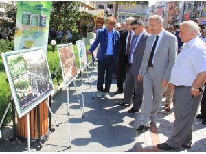 Yeşil Rizenin Çayı Fotoğraf Sergisi Yoğun İlgi Gördü