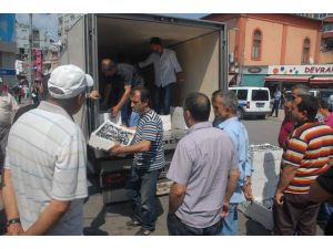 Av Yasağı Kalktı, Hamsi Tezgahlardaki Yerini Aldı