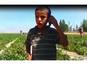 Böyle Aşık Görülmedi