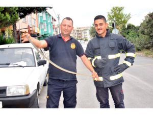 (Özel Haber) Stajyer İtfaiyecilere Yılan Yakalama Eğitimi