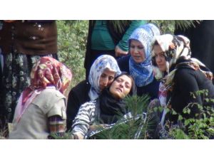 Bu Acıya Yürek Dayanmaz