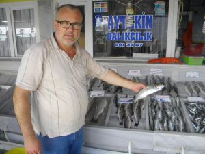 (Özel Haber) Umduğunu Bulamayan Balıkçıların Tezgahları Da Boş Kaldı