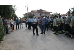 Bu Evde Yok Yok...