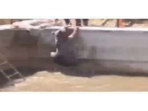 Ayı Bile İsyan Etti