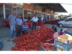 Kırmızı Biber Yüz Güldürüyor