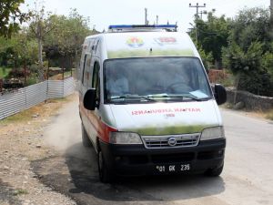 Yaralı Şahin Tedavi Edilip Doğaya Bırakıldı