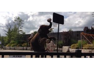 Namı Diğer Michael Jordan