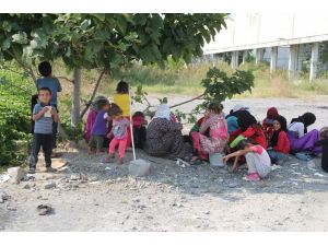 İş Vaadiyle Kandırılan Suriyeli İki Aile Ortada Kaldı