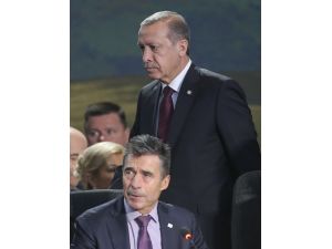 Cumhurbaşkanı Erdoğan: “Teröre Karşı Ortak Strateji Geliştirilmeli”