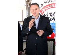 Aba Güreşi Küllerinden Doğuyor