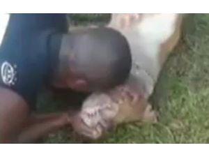 Evladını Kaybetmişçesine Feryat Etti