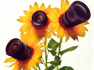 3.Tarım ve İnsan Konulu Ulusal Fotoğraf Sergisi