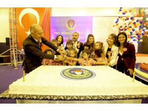 Ted Rönesans, Eğitime Başladı
