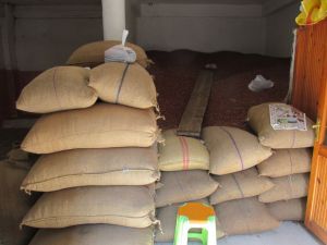 Fındık Fiyatları Eylül Ayında Da Yükselişini Sürdürdü