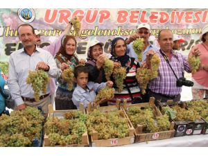 Nevşehir’de Üzüm Üretimi Her Geçen Yıl Azalıyor