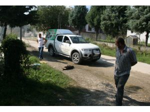 Vahşete Çocuklar Da Tanıklık Etti