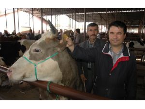 Veteriner Hekimden Kurbanlık Uyarısı