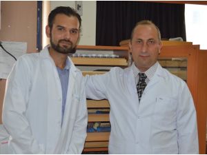 Ksü Bilim Adamları Üç Yeni Salyangoz Türü Tespit Etti