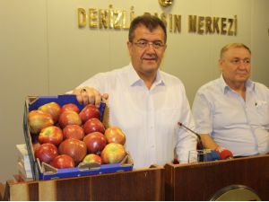 En Hızlı Çekirdek Yiyene Yarım Altın Verilecek