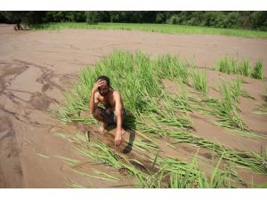 Hindistan Ve Pakistan Sele Teslim: En Az 400 Ölü