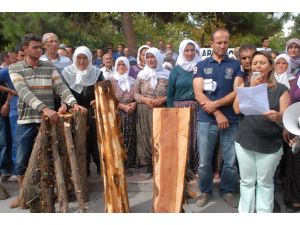 Bağsaraylılar Ağaçların Kesilmesini Protesto Etti