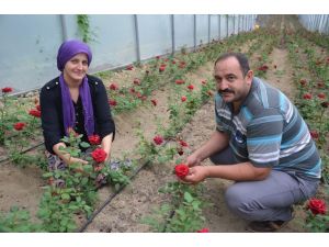 Fındığı Söküp Kesme Çiçekçiliğe Başladı