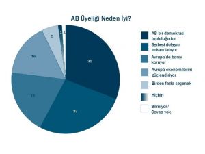 Ab Üyeliğine Destek Artıyor