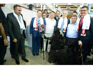 Feshanede Balıkesir Rüzgarı Esti