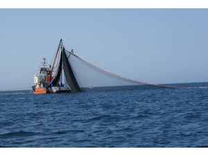 Karadeniz’e Avcılık Baskısı