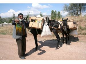 Anadolunun Son Katrancısı