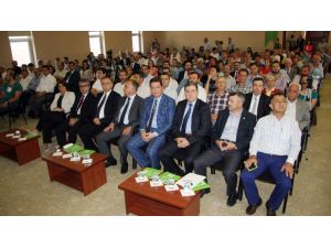 Termik Santral Paneli Gergin Başladı, Gergin Bitti