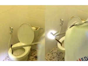 Klozetten Çıktı !