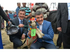 Çambaşında Şenlik Coşkusu