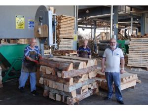 Balcıoğlu: “Kereste Sektörüne Verilecek Destek Cari Açığı Düşürür”