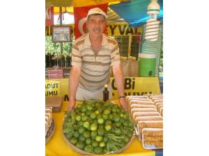 Havranda Mandalina Hasadına Başlandı