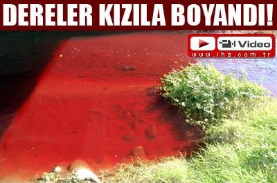 Dereler kızıla boyandı!