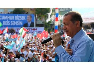 Haşhaşi Davasına Ret