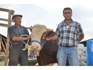 Tosun Polat Otomobil Fiyatına Satıldı