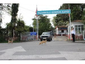 Yunanistan’dan Ekonomik Hamle