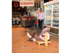 Bursalıların Jaws Merakı