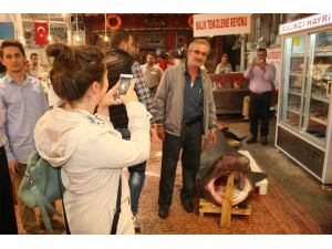 Vatandaşın Jaws Merakı