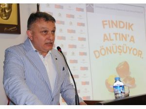 Fındıkta İç Tüketim Durdu, İhracat Düştü, Fiyatlar Geriledi