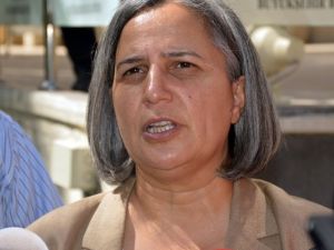 Kışanak’tan Kürtçe Okul Açıklaması