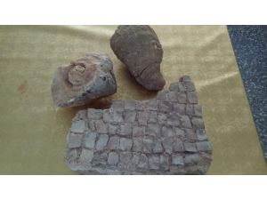 Tutta Fosil Ve Tarihi Kalıntılar Bulundu
